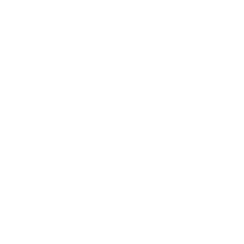 ANAM Fisioterapia